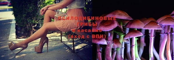 гашик Навашино