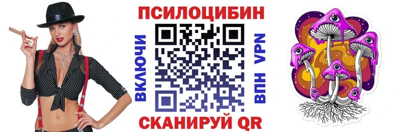 Купить где Жердевка Галлюциногенные грибы GOLDEN TEACHER